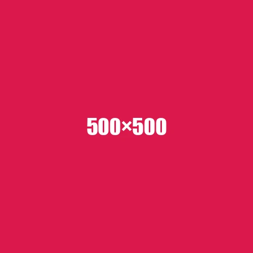 image de remplacement 500 × 500