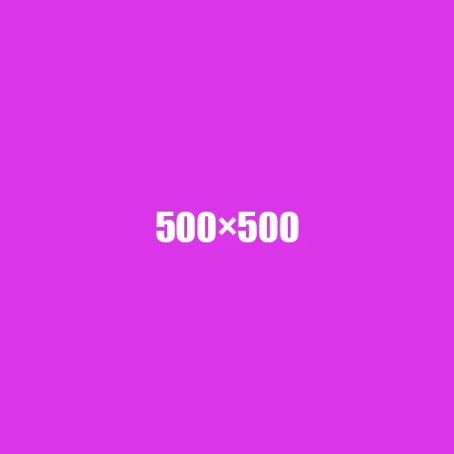 image de remplacement 500 × 500