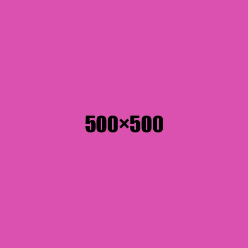 image de remplacement 500 × 500