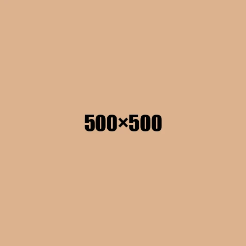 image de remplacement 500 × 500