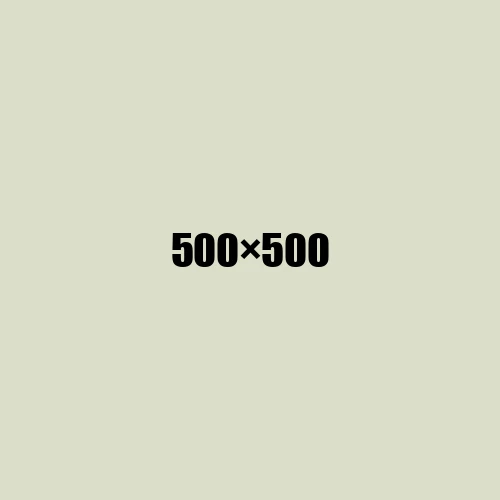 image de remplacement 500 × 500