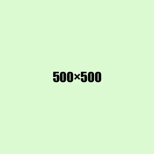image de remplacement 500 × 500