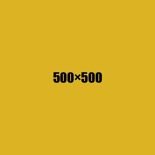 image de remplacement 500 × 500