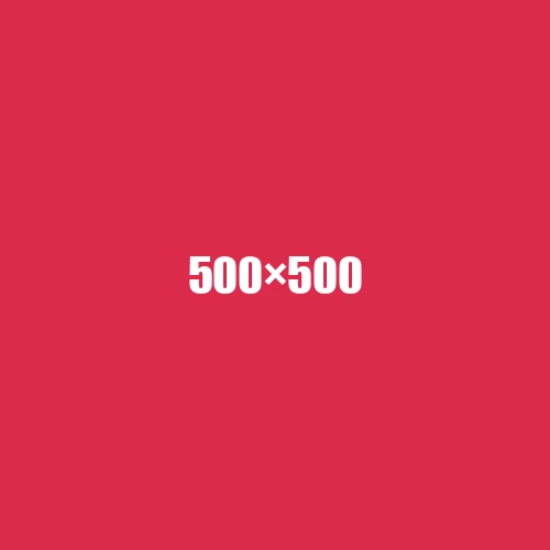image de remplacement 500 × 500