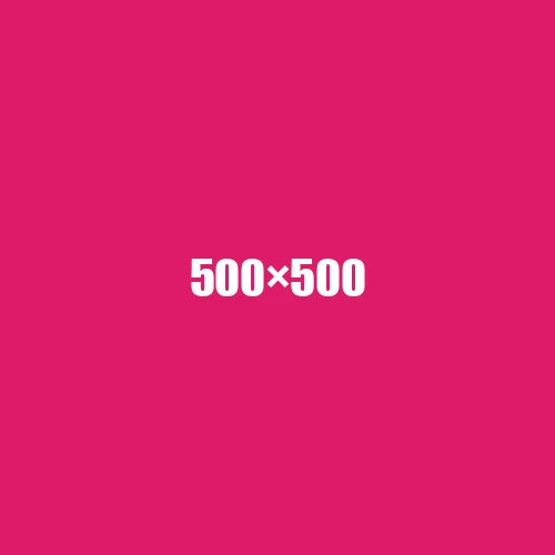 image de remplacement 500 × 500