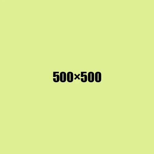 image de remplacement 500 × 500
