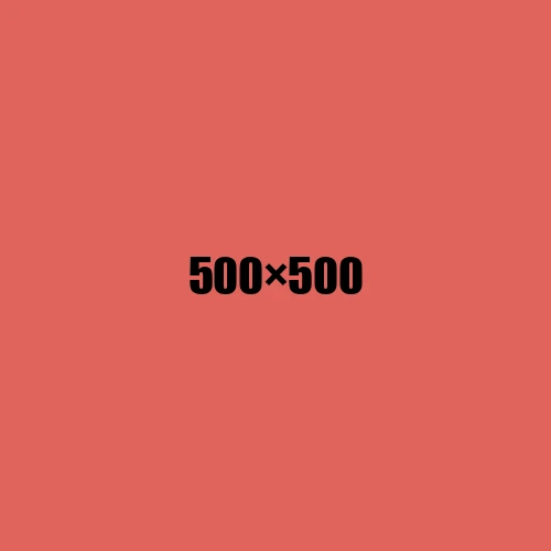 image de remplacement 500 × 500