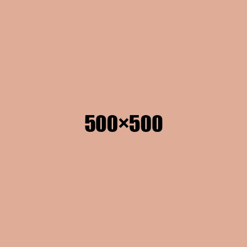 image de remplacement 500 × 500