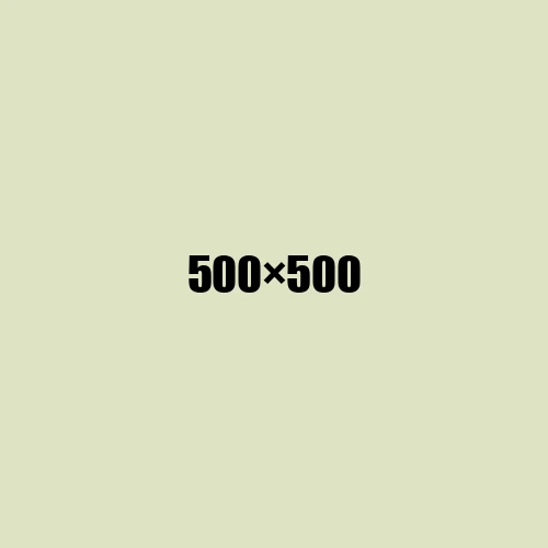image de remplacement 500 × 500