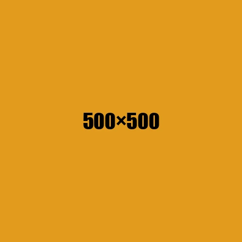 image de remplacement 500 × 500