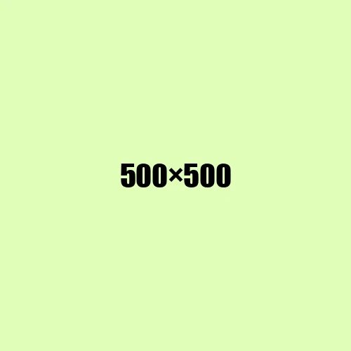 image de remplacement 500 × 500