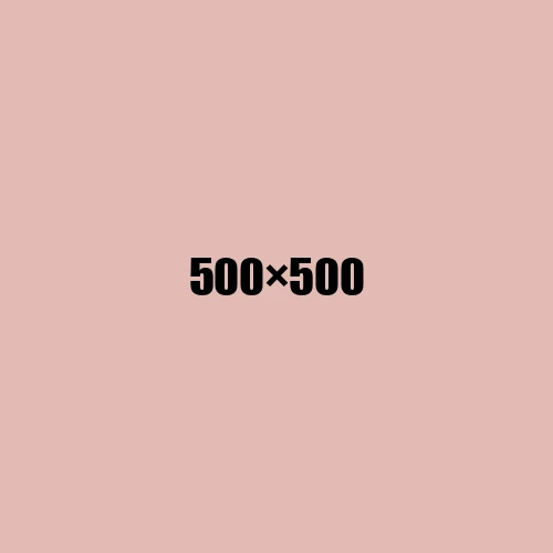 image de remplacement 500 × 500