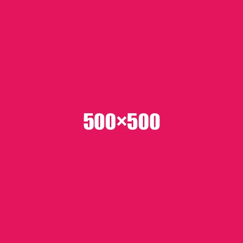 image de remplacement 500 × 500