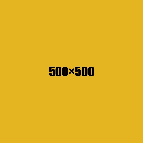 image de remplacement 500 × 500