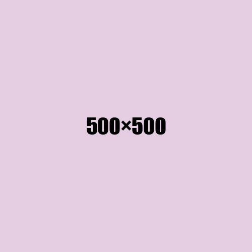 image de remplacement 500 × 500