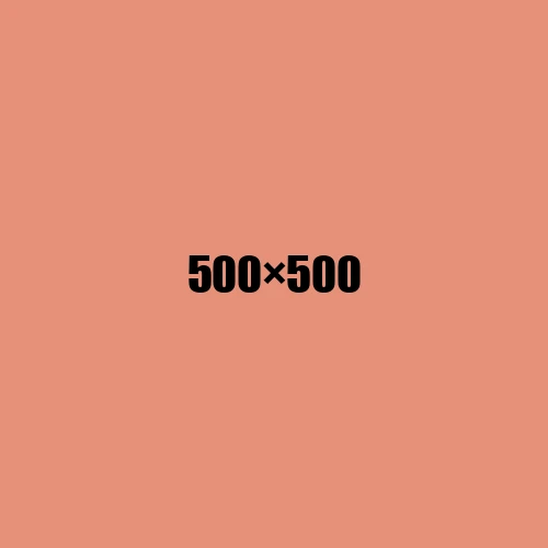 image de remplacement 500 × 500