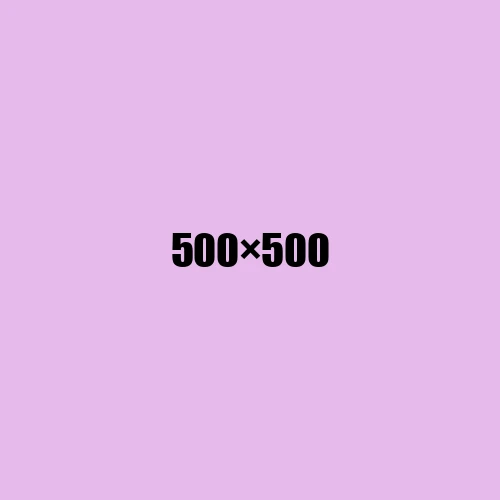 image de remplacement 500 × 500