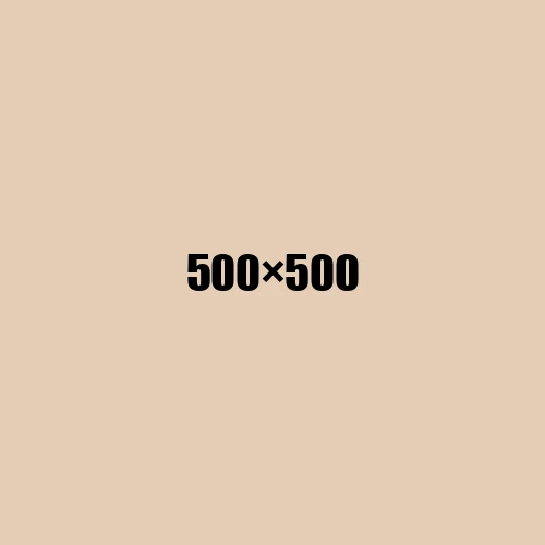 image de remplacement 500 × 500