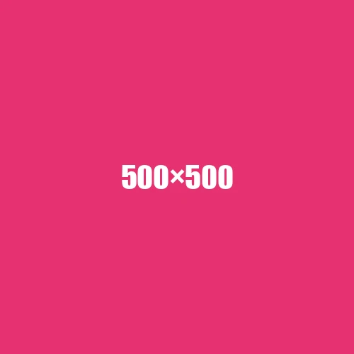 image de remplacement 500 × 500