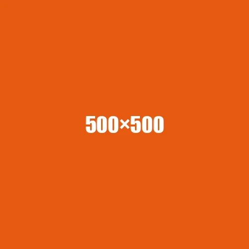 image de remplacement 500 × 500