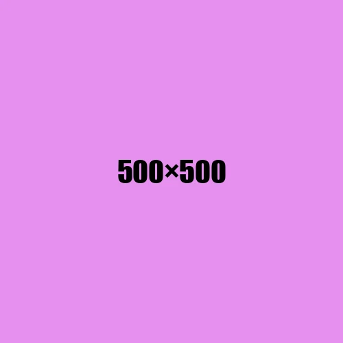 image de remplacement 500 × 500