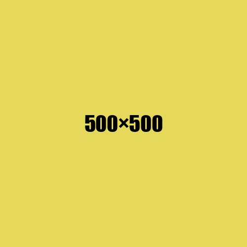 image de remplacement 500 × 500