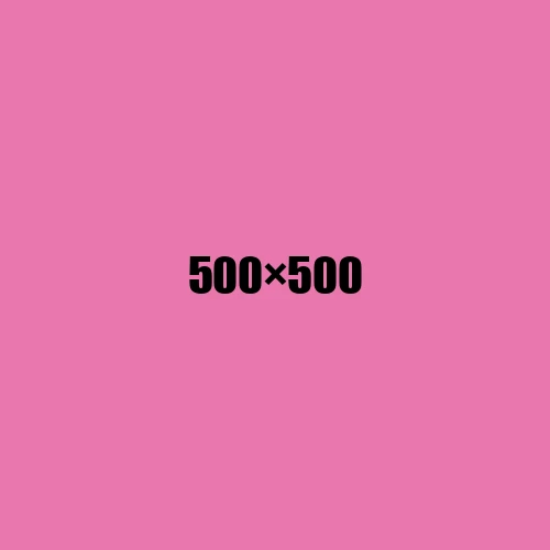 image de remplacement 500 × 500