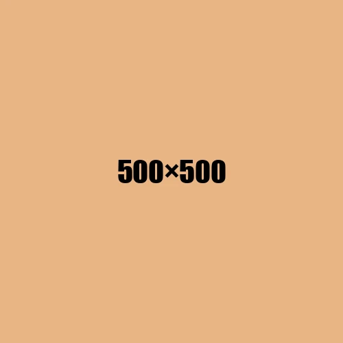image de remplacement 500 × 500