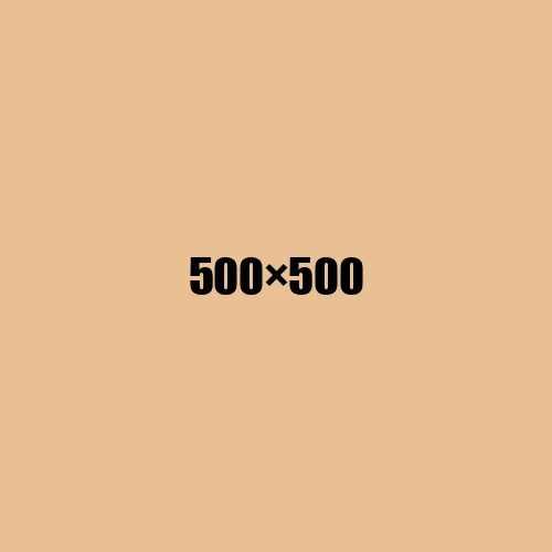 image de remplacement 500 × 500