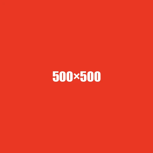 image de remplacement 500 × 500
