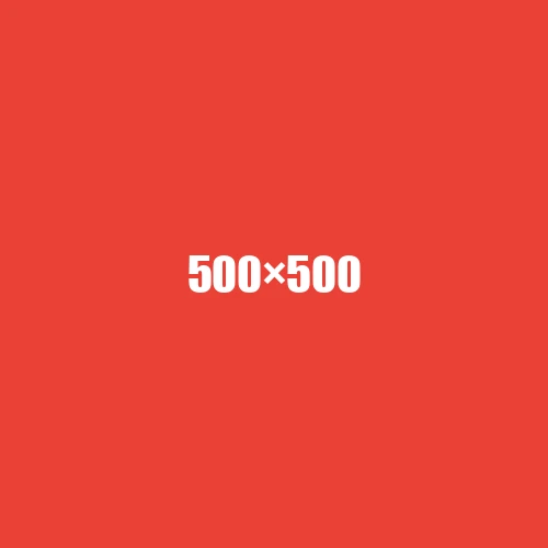 image de remplacement 500 × 500