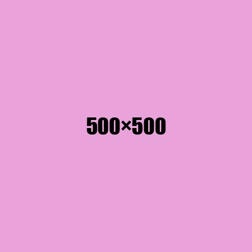 image de remplacement 500 × 500