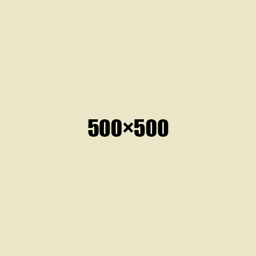 image de remplacement 500 × 500