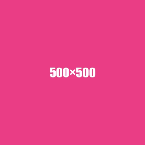 image de remplacement 500 × 500