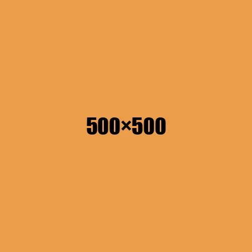 image de remplacement 500 × 500