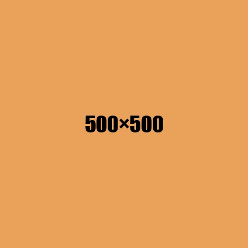 image de remplacement 500 × 500