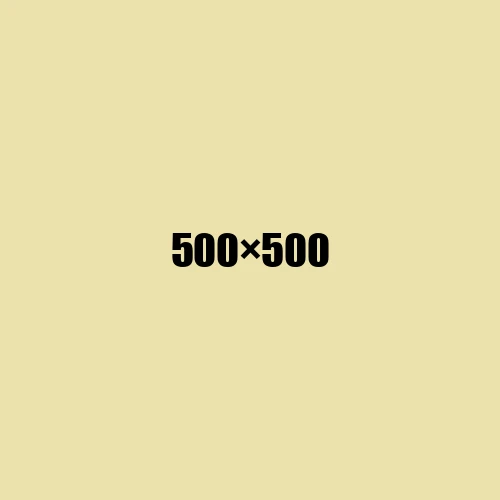 image de remplacement 500 × 500