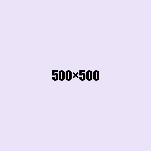 image de remplacement 500 × 500