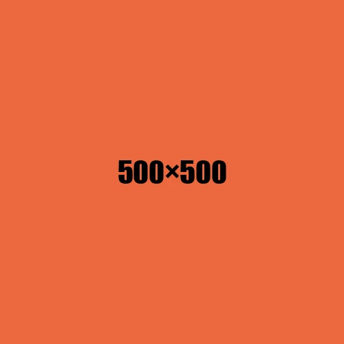 image de remplacement 500 × 500