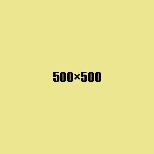 image de remplacement 500 × 500