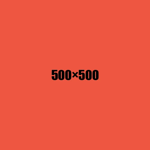 image de remplacement 500 × 500