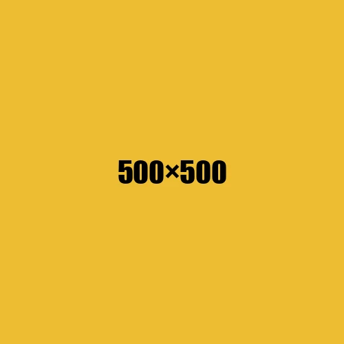 image de remplacement 500 × 500