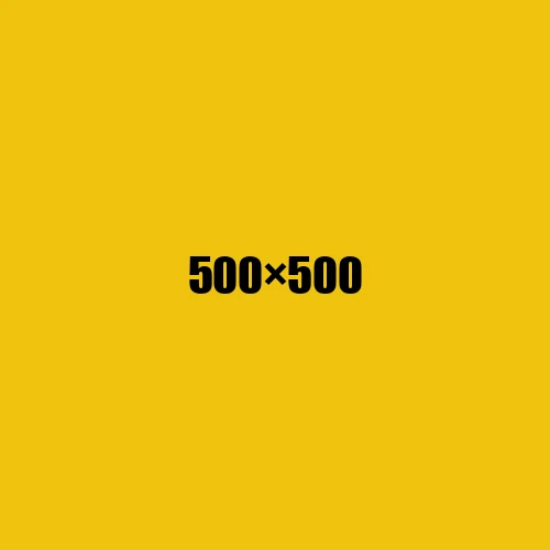 image de remplacement 500 × 500