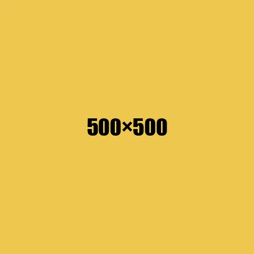 image de remplacement 500 × 500