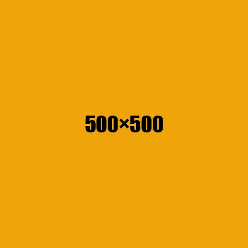 image de remplacement 500 × 500