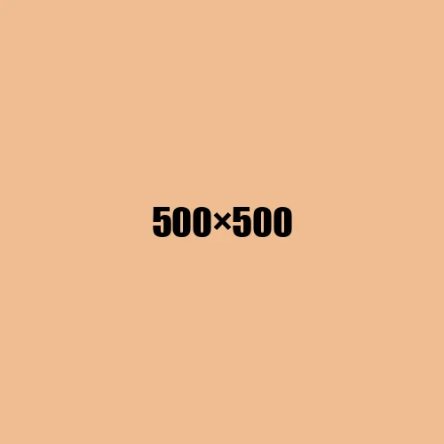 image de remplacement 500 × 500