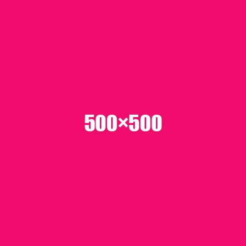 image de remplacement 500 × 500