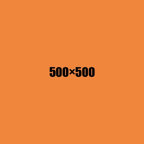 image de remplacement 500 × 500