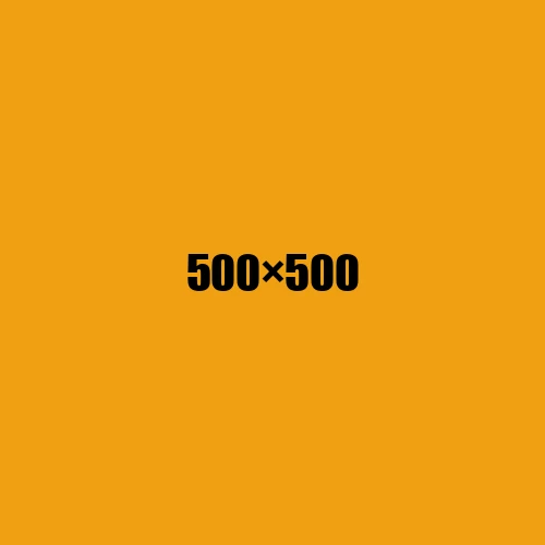 image de remplacement 500 × 500
