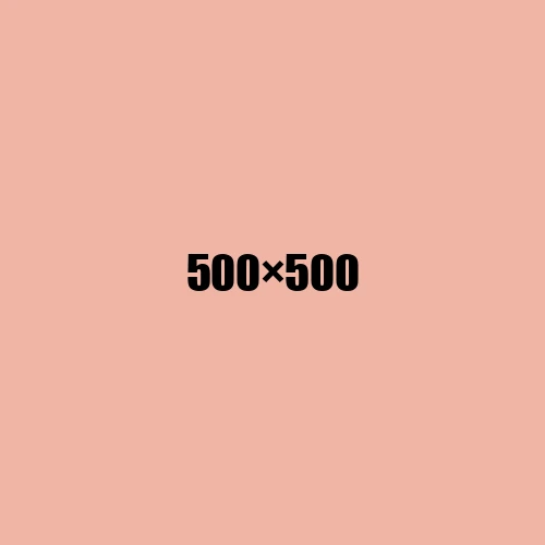 image de remplacement 500 × 500